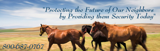 Stamford Insurance Banner